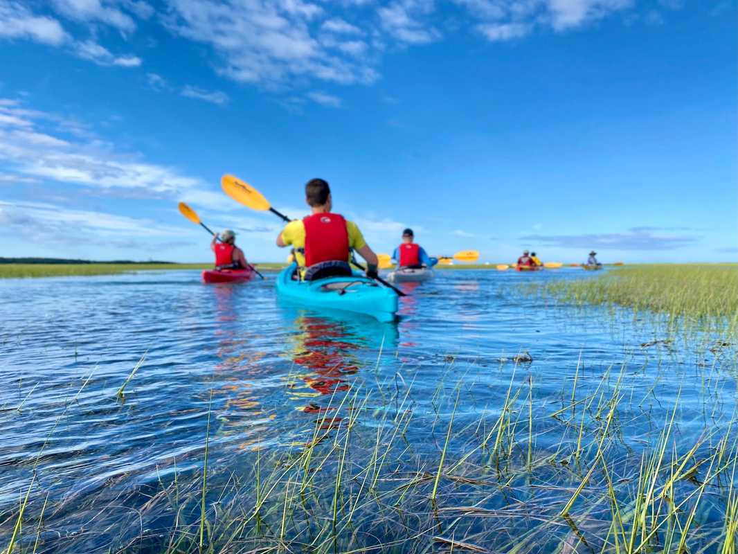 kayak tours cape cod